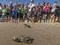 https://verobeach.imgix.net/business/Loggerhead hatchlings released as part of a Turtle Dig-900-675_thumbnail.jpg?fit=crop&w=900&h=675&auto=format&q=40
